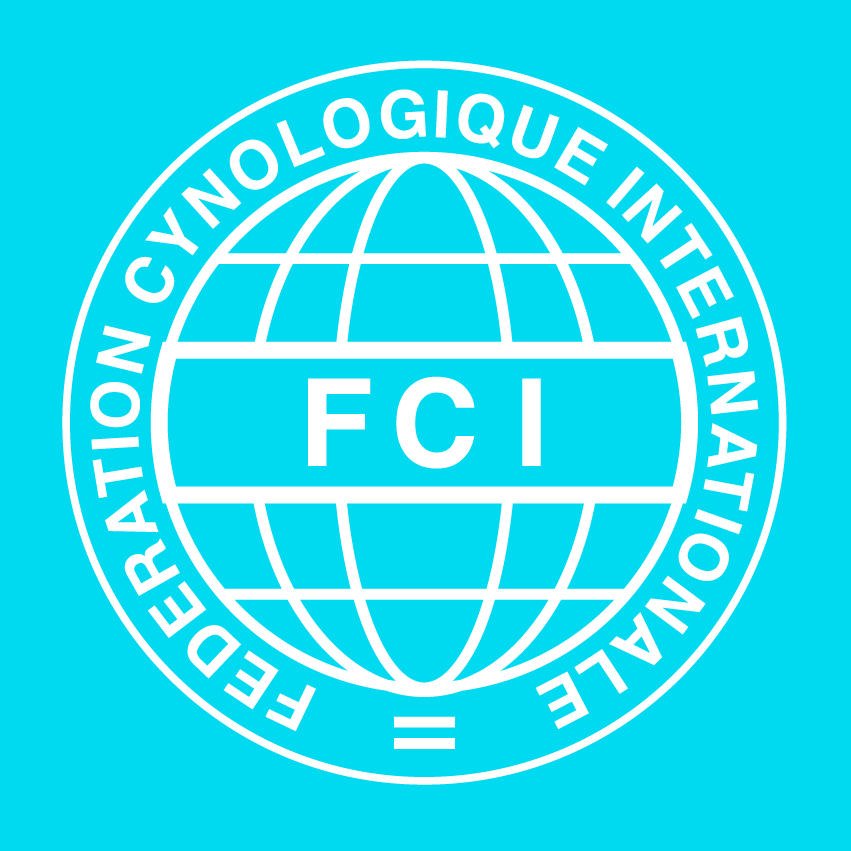 logo_scc_bleu.gif (2767 octets)